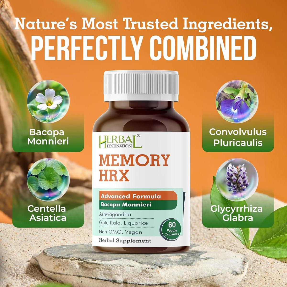Memory Hrx (Pack of 2)